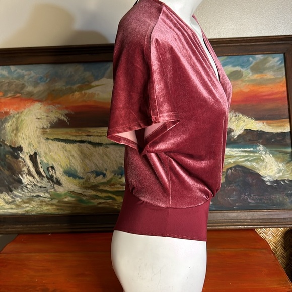 NSR Stretch Velvet So Smooth‎ Mauve Dusty Rose Pink Thong Bodysuit Sz M NWT - Picture 6 of 14